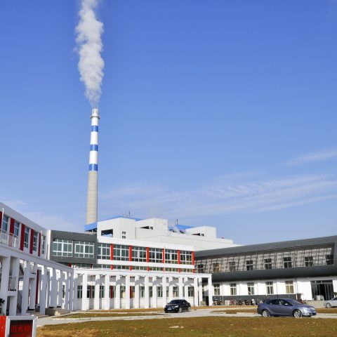 Datang Dengzhou biomass energy 2 * 15MW thermal power unit