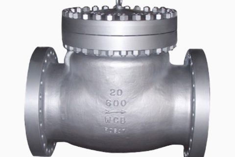 Industrial Swing Check Valve