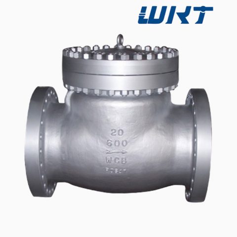 Industrial Swing Check Valve