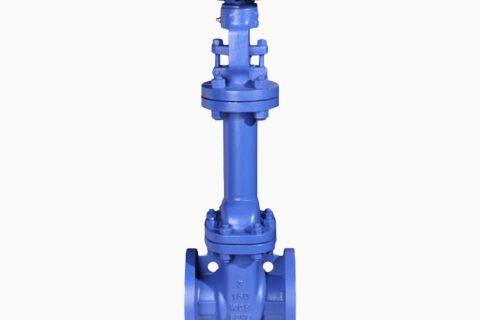 DIN Bellows Seal Gate Valve