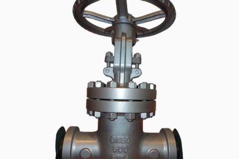 C12A Butt Welded Gate Valve