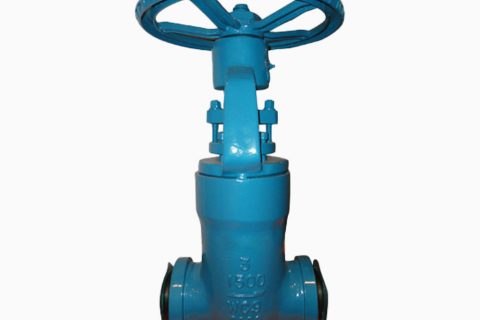 Pressure seal gate valve Class 1500