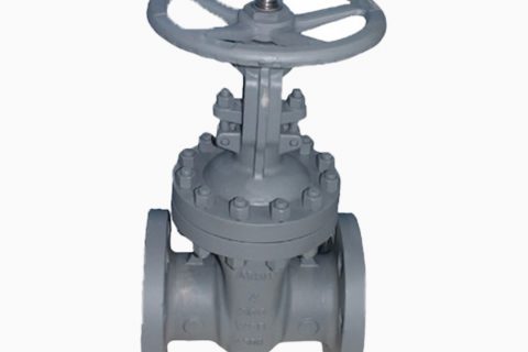 Wedged carbon steel gate valve