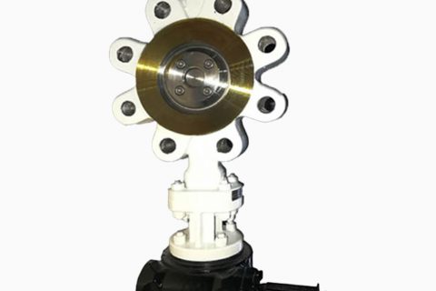 Worm Gear WCB Lug Butterfly Valve Class 300