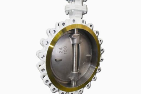 Worm Gear Lug WCB+6A Triple Eccentric Butterfly Valve