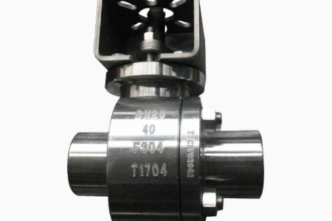 Stainless Steel Butt Welded Floating Ball Valve