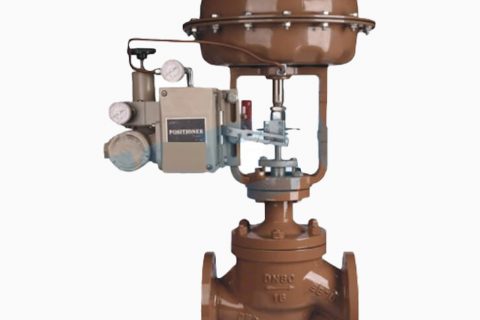 Pneumatic Single-Seat Globe Control Valve