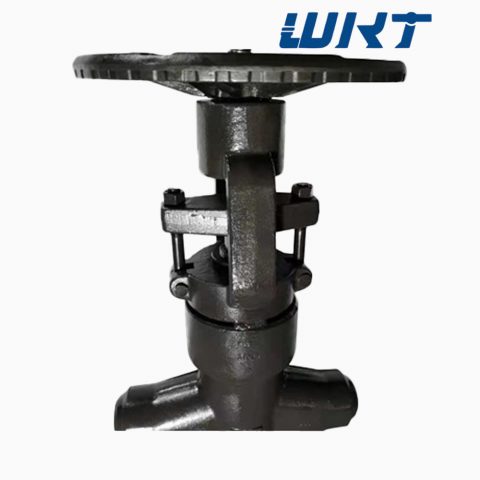 Forged Steel Butt-Welded Pressure Seal Globe Valve