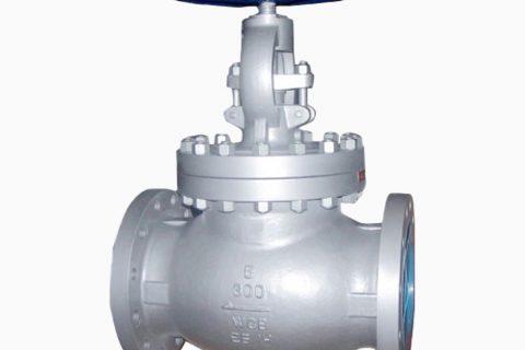 Stainless Steel Globe Valve class 150