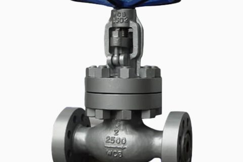 High Pressure Globe Valve class 2500