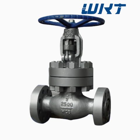 High Pressure Globe Valve class 2500