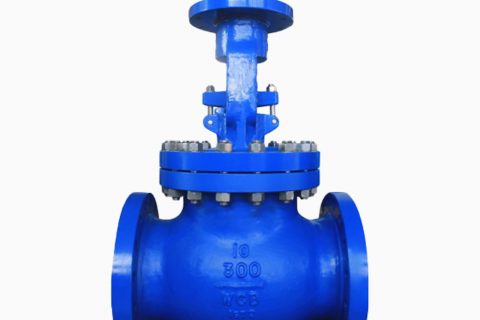 Globe Valve class 300