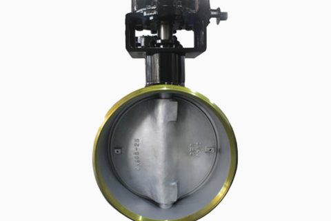 Renewable seat metal to metal seat triple eccentric butterfly valve